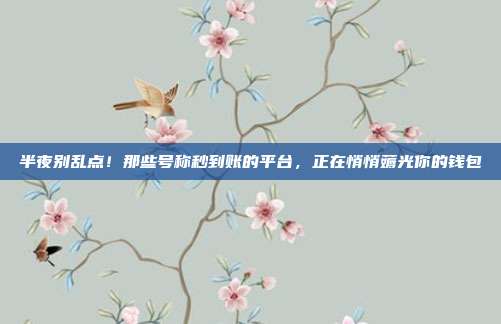 半夜别乱点!那些号称秒到账的平台,正在悄悄薅光你的钱包
