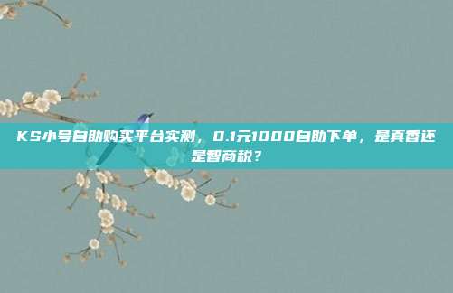 KS小号自助购买平台实测，0.1元1000自助下单，是真香还是智商税？