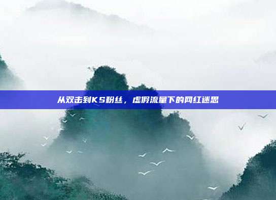 从双击到KS粉丝，虚假流量下的网红迷思