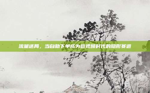 流量迷局，当自助下单成为短视频时代的隐形赛道