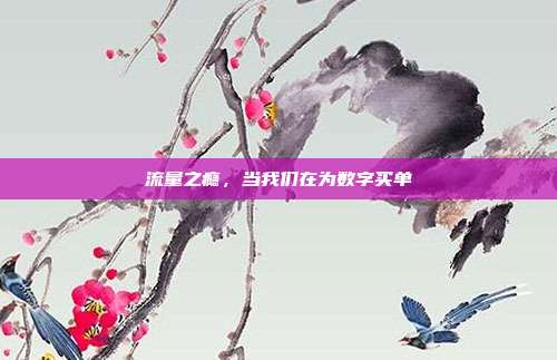 流量之瘾，当我们在为数字买单
