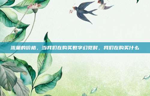 流量的价格，当我们在购买数字幻觉时，我们在购买什么