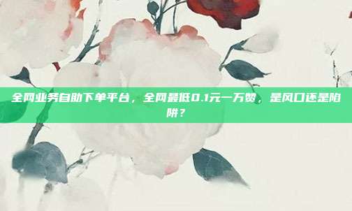 全网业务自助下单平台,全网最低0.1元一万赞,是风口还是陷阱?