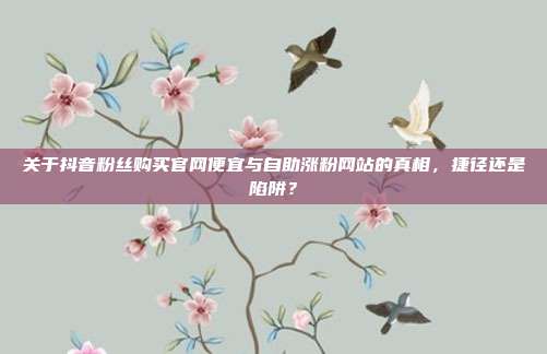 关于抖音粉丝购买官网便宜与自助涨粉网站的真相，捷径还是陷阱？