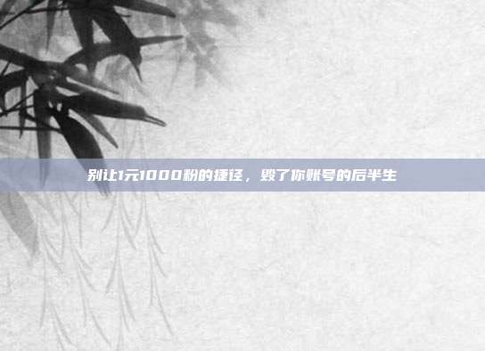 别让1元1000粉的捷径,毁了你账号的后半生