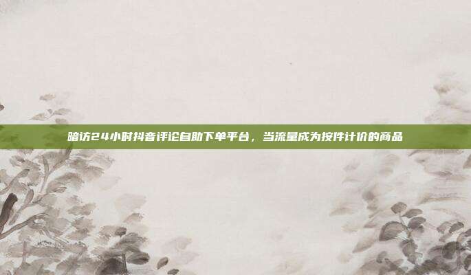 暗访24小时抖音评论自助下单平台，当流量成为按件计价的商品
