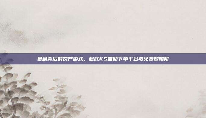 暴利背后的灰产游戏,起底KS自助下单平台与免费赞陷阱