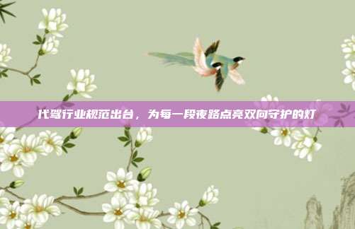 代驾行业规范出台，为每一段夜路点亮双向守护的灯