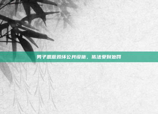 男子恶意毁坏公共设施，依法受到处罚