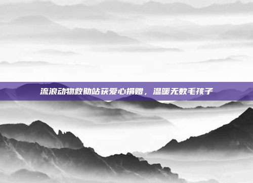 流浪动物救助站获爱心捐赠，温暖无数毛孩子