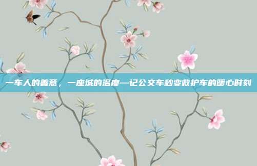 一车人的善意，一座城的温度—记公交车秒变救护车的暖心时刻