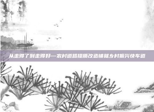 从走得了到走得好—农村道路提质改造铺就乡村振兴快车道