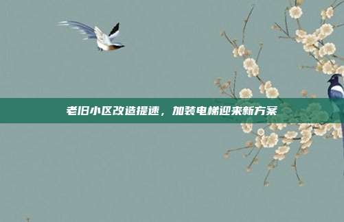 老旧小区改造提速，加装电梯迎来新方案