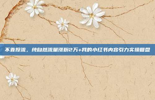 不靠投流，纯自然流量涨粉2万+我的小红书内容引力实操复盘