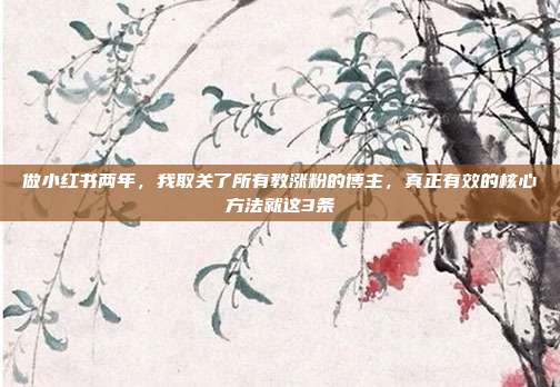 做小红书两年,我取关了所有教涨粉的博主,真正有效的核心方法就这3条
