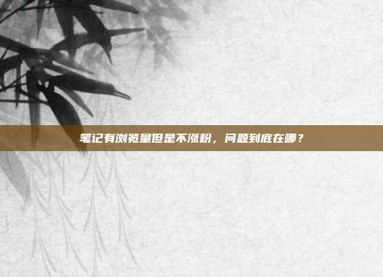 笔记有浏览量但是不涨粉，问题到底在哪？