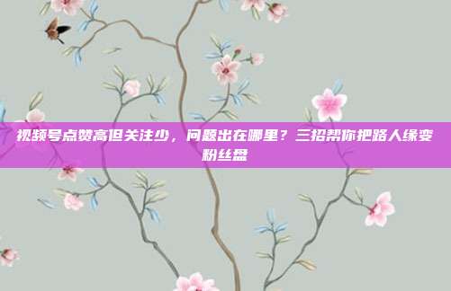 视频号点赞高但关注少,问题出在哪里?三招帮你把路人缘变粉丝盘