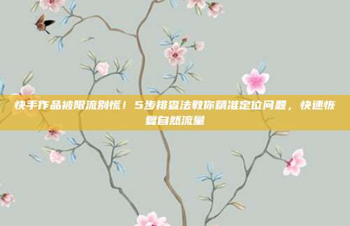 快手作品被限流别慌！5步排查法教你精准定位问题，快速恢复自然流量