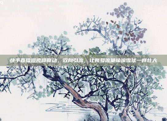 快手直播短视频联动,双向引流,让账号流量像滚雪球一样壮大