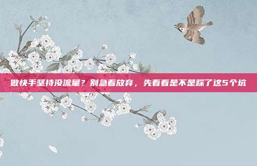 做快手坚持没流量？别急着放弃，先看看是不是踩了这5个坑