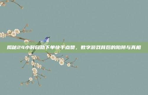 揭秘24小时自助下单快手点赞，数字游戏背后的陷阱与真相