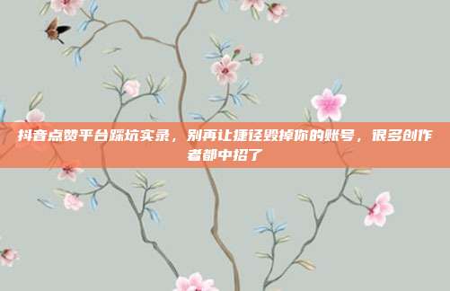 抖音点赞平台踩坑实录，别再让捷径毁掉你的账号，很多创作者都中招了