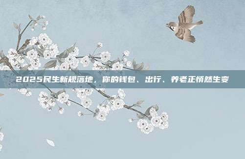 2025民生新规落地，你的钱包、出行、养老正悄然生变