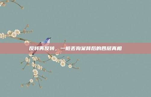 反转再反转，一桩丢狗案背后的四层真相