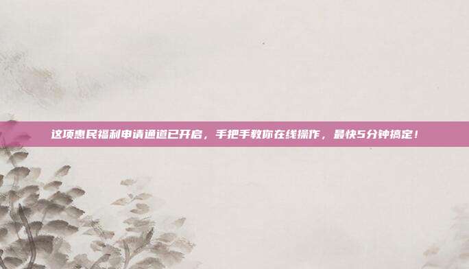 这项惠民福利申请通道已开启,手把手教你在线操作,最快5分钟搞定!