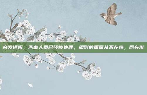 突发通报,涉事人员已经被处理,规则的重量从不在快,而在准