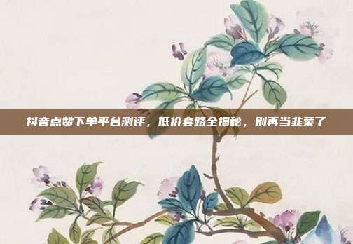 抖音点赞下单平台测评，低价套路全揭秘，别再当韭菜了