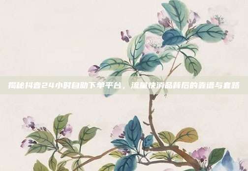 揭秘抖音24小时自助下单平台,流量快消品背后的靠谱与套路