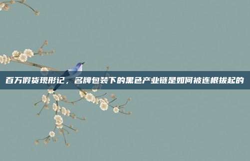 百万假货现形记，名牌包装下的黑色产业链是如何被连根拔起的