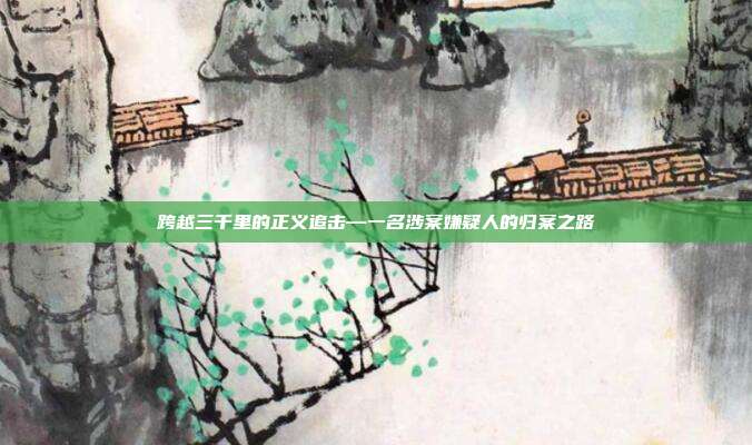 跨越三千里的正义追击—一名涉案嫌疑人的归案之路