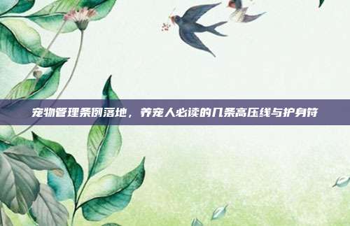 宠物管理条例落地,养宠人必读的几条高压线与护身符