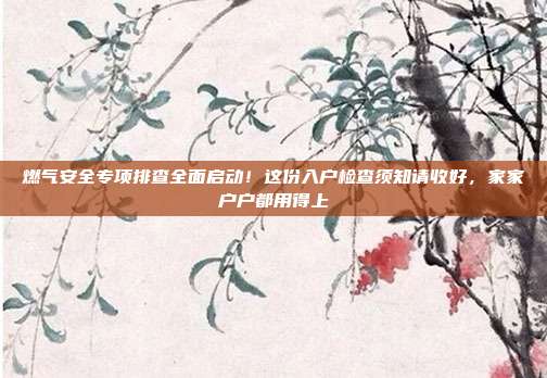 燃气安全专项排查全面启动！这份入户检查须知请收好，家家户户都用得上