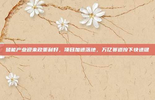 储能产业迎来政策利好，项目加速落地，万亿赛道按下快进键