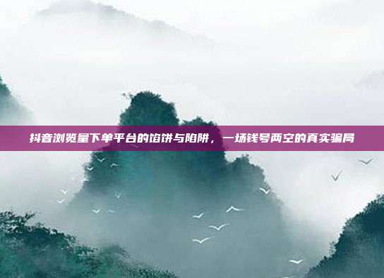 抖音浏览量下单平台的馅饼与陷阱，一场钱号两空的真实骗局