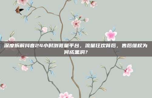 深度拆解抖音24小时浏览量平台，流量狂欢背后，售后维权为何成黑洞？