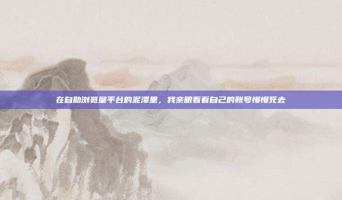 在自助浏览量平台的泥潭里，我亲眼看着自己的账号慢慢死去