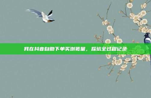 我在抖音自助下单买浏览量，踩坑全过程记录