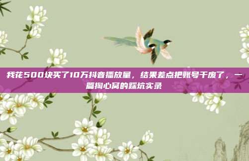 我花500块买了10万抖音播放量,结果差点把账号干废了,一篇掏心窝的踩坑实录
