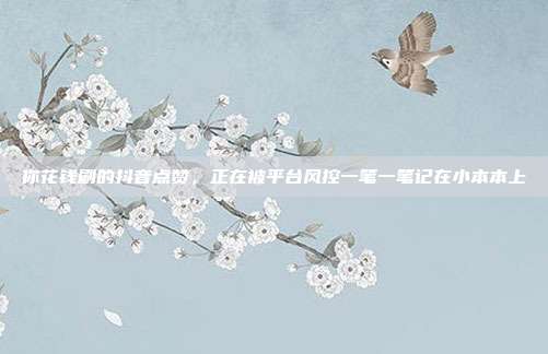 你花钱刷的抖音点赞,正在被平台风控一笔一笔记在小本本上