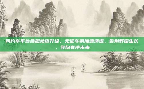 网约车平台合规检查升级，无证车辆加速清退，告别野蛮生长，驶向有序未来