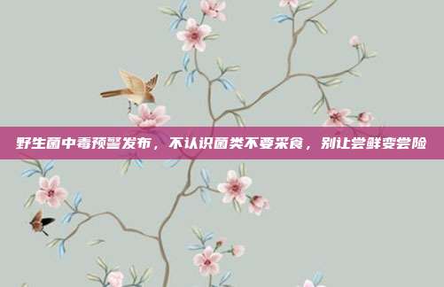 野生菌中毒预警发布，不认识菌类不要采食，别让尝鲜变尝险