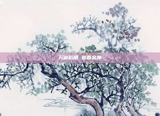 万亩稻田 喜看金黄