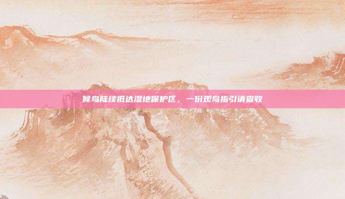 候鸟陆续抵达湿地保护区，一份观鸟指引请查收