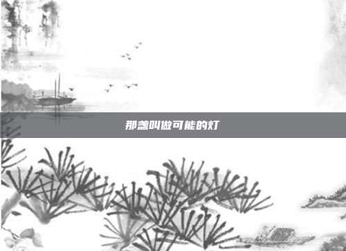 那盏叫做可能的灯