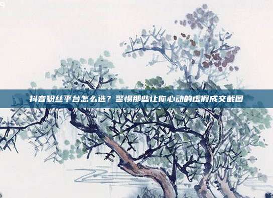 抖音粉丝平台怎么选？警惕那些让你心动的虚假成交截图