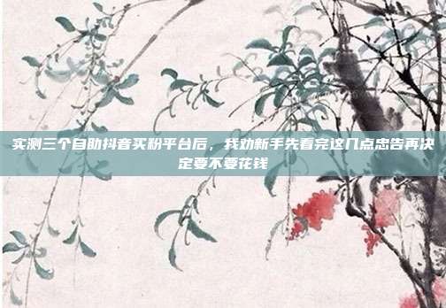 实测三个自助抖音买粉平台后,我劝新手先看完这几点忠告再决定要不要花钱